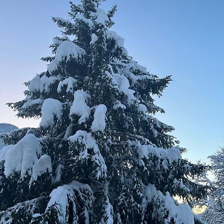 Chalet La Poipia ボーフォール エクステリア 写真