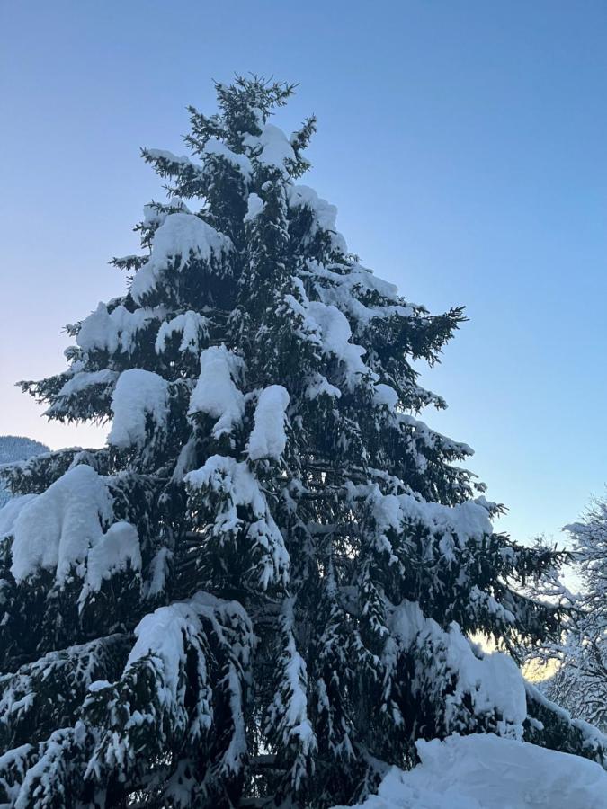 Chalet La Poipia ボーフォール エクステリア 写真